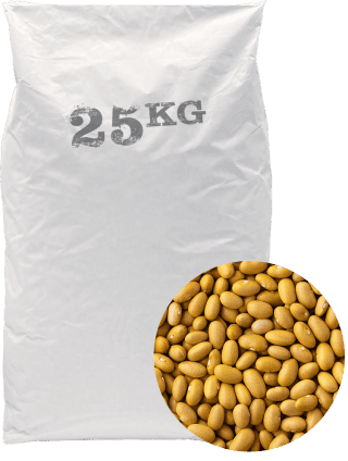 Haricots Canaries - 25kg
