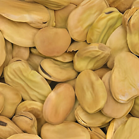 Fèves Grosses - Entières - 5kg