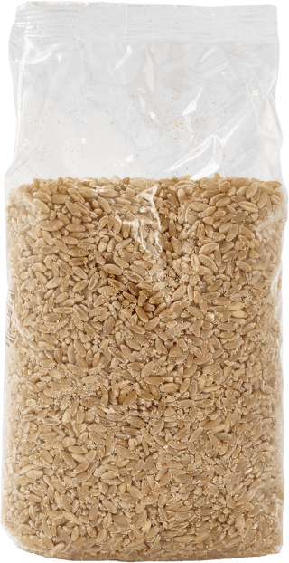 Blé Hadig - 1kg
