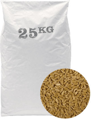 Blé Hadig - 25kg